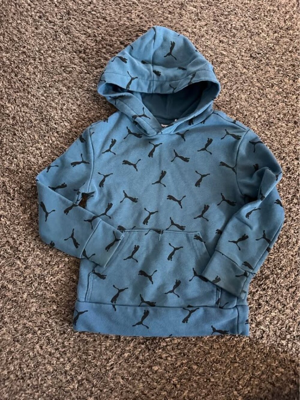 Puma Sweatshirt, Puma Hoodie, Boys Sweatshirt, Boys Hoodie, Boys Clothing, Sweat